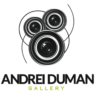 Andrei Duman Gallery Logo